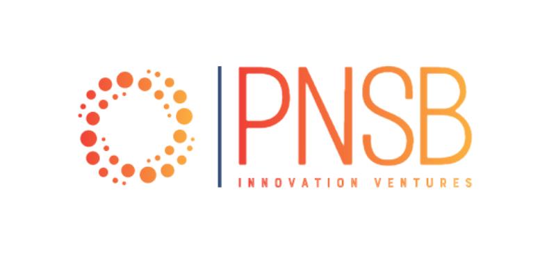 PIV logo